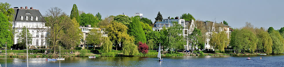 Dammholz-Immobilien
