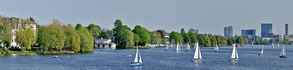 Dammholz-Immobilien